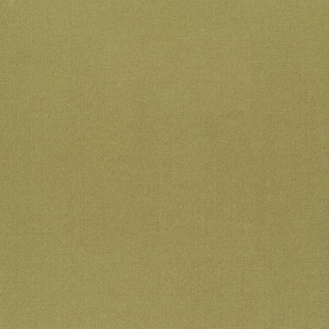 Designers Guild Tiber III Fabrics Tiber Olive