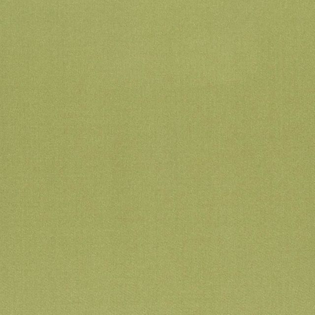 Designers Guild Tiber III Fabrics Tiber Pistachio