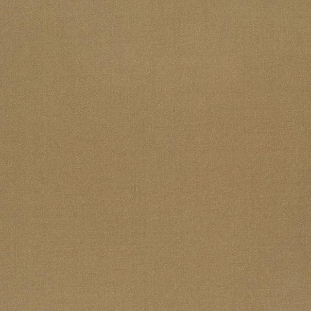 Designers Guild Tiber III Fabrics Tiber Reed
