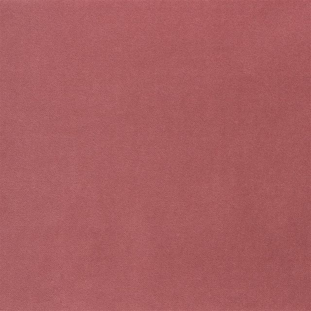 Designers Guild Varese II Fabrics Varese Coral