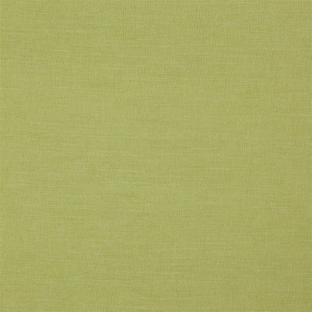 Designers Guild Mirissa II Fabrics Mirissa Alchemilla