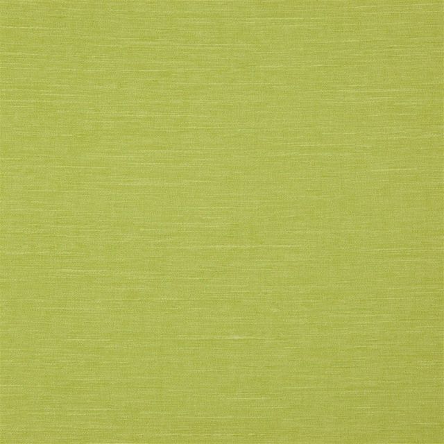 Designers Guild Mirissa II Fabrics Mirissa Acacia