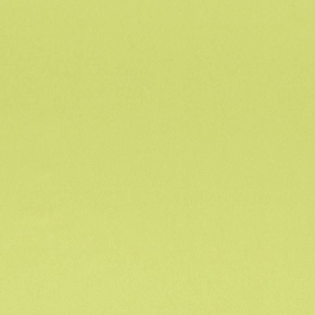 Designers Guild Tiber III Fabrics Tiber Lime