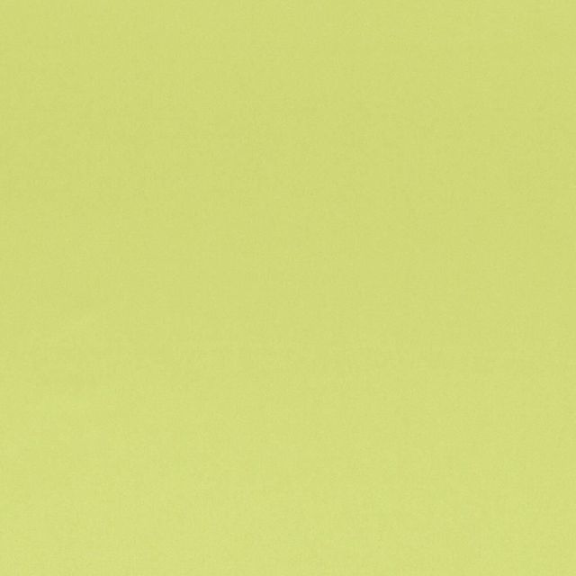 Designers Guild Tiber III Fabrics Tiber Lime