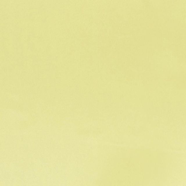 Designers Guild Tiber III Fabrics Tiber Alchemilla