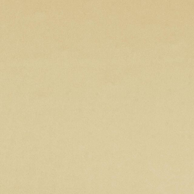 Designers Guild Tiber III Fabrics Tiber Honey