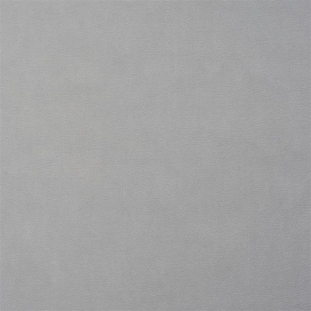 Designers Guild Varese II Fabrics Varese Platinum