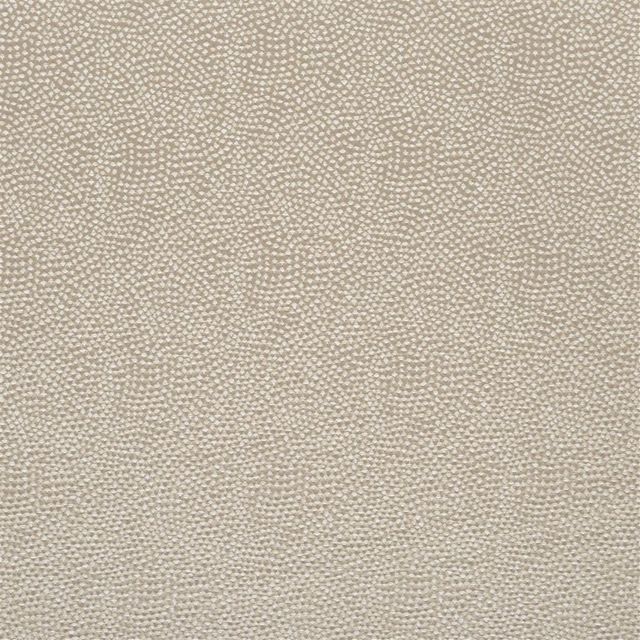 Designers Guild Sesia Fabrics Sesia Silver Birch