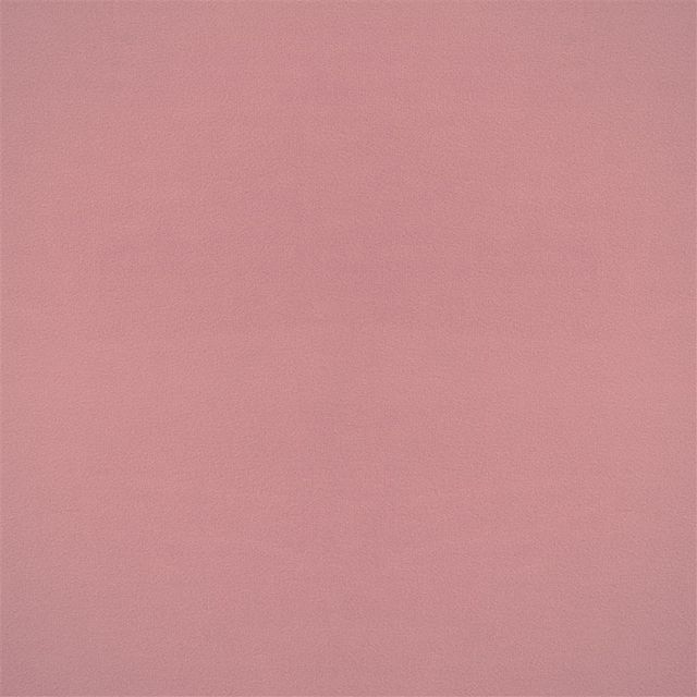 Designers Guild Velluto Fabrics Velluto Stretto Blossom