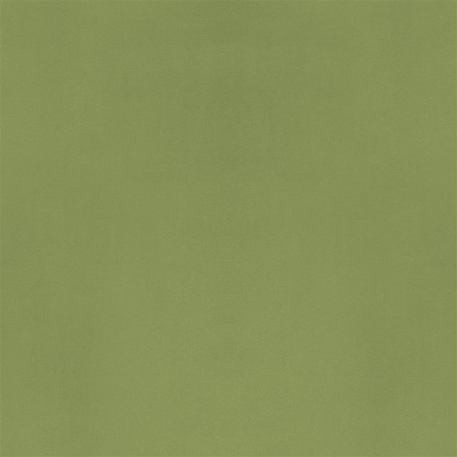 Designers Guild Velluto II Fabrics Velluto Stretto Apple