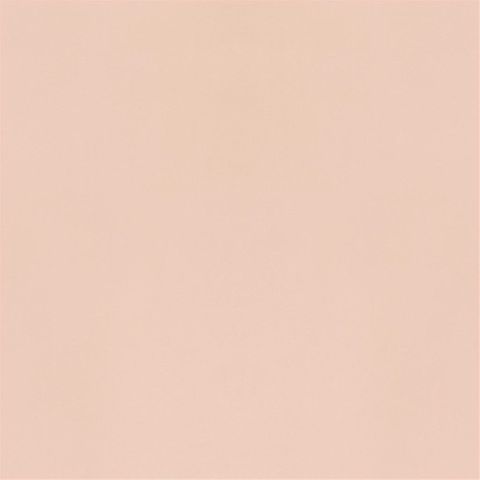 Designers Guild Velluto II Fabrics Velluto Stretto Shell Box Cushion