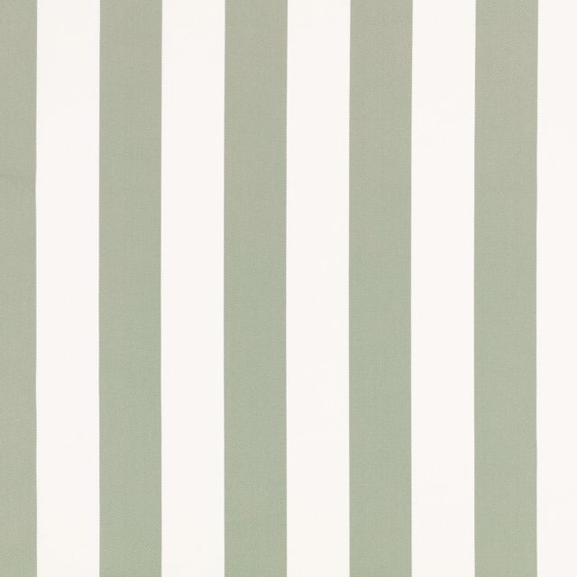 Romo Elson Aron Eucalyptus