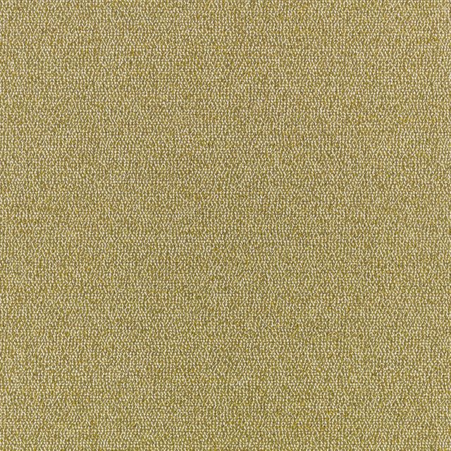 Romo Okero Olavi Fennel