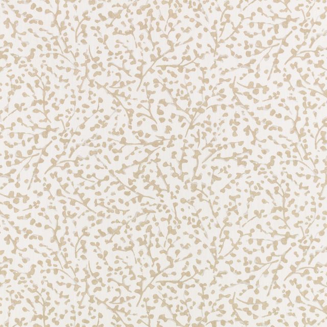 Romo Aubin Eleni Almond