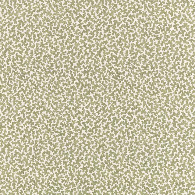 Romo Aubin Junie Matcha