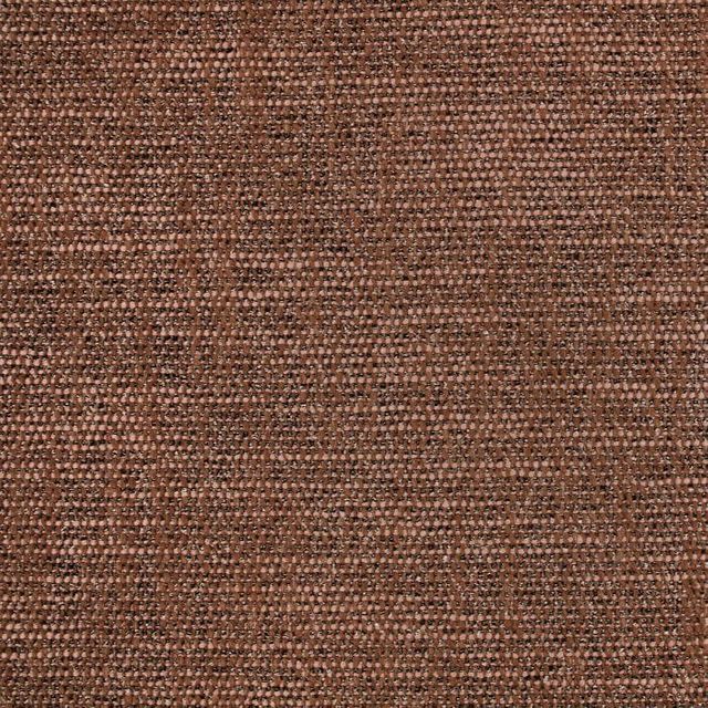 Black Edition Muoto Ocro Mehndi