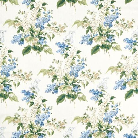 Delphinium & Lilac Larkspur Blue