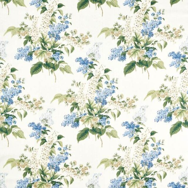 Sanderson Highgrove Delphinium & Lilac Larkspur Blue