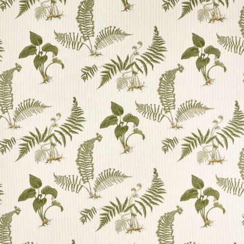 Hosta & Fern Olivine