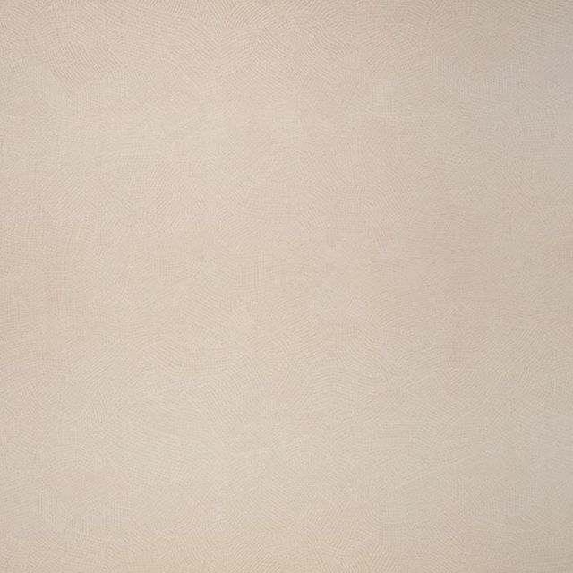 Black Edition Muoto Boa Pampas