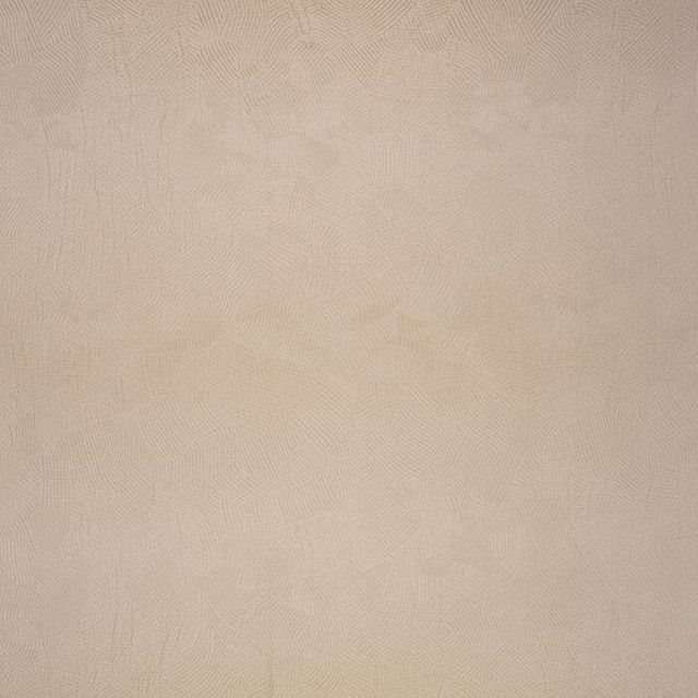 Black Edition Muoto Boa Kudu