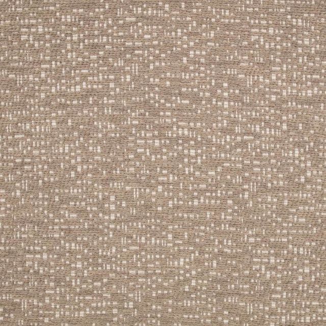 Black Edition Muoto Zuri Kudu