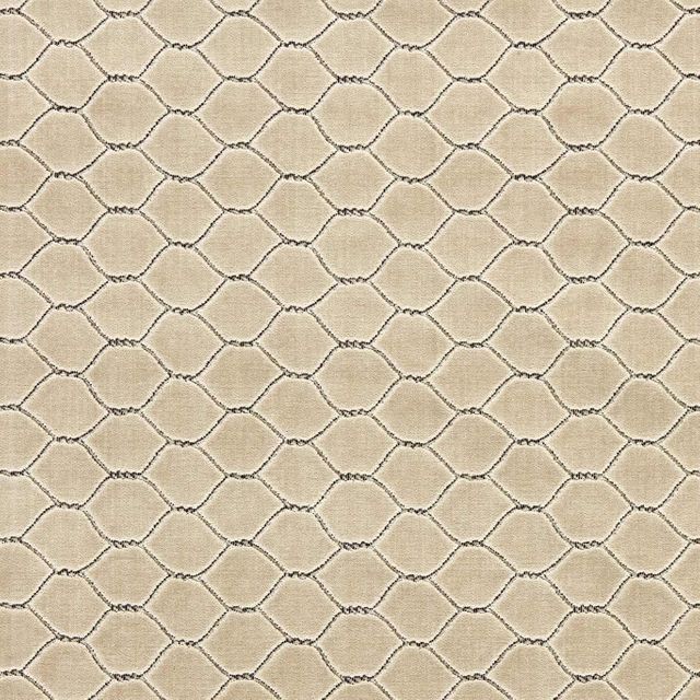 Sanderson Sanderson x Giles Deacon Faraday Velvets Faraday Velvet Stone Upholstery Fabric