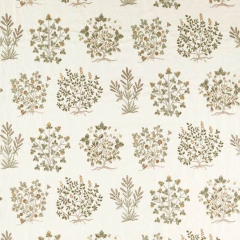 Thyme Walk Lichen/Gooseberry