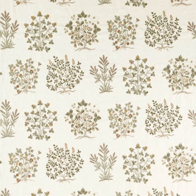 Sanderson Highgrove Thyme Walk Lichen/Gooseberry