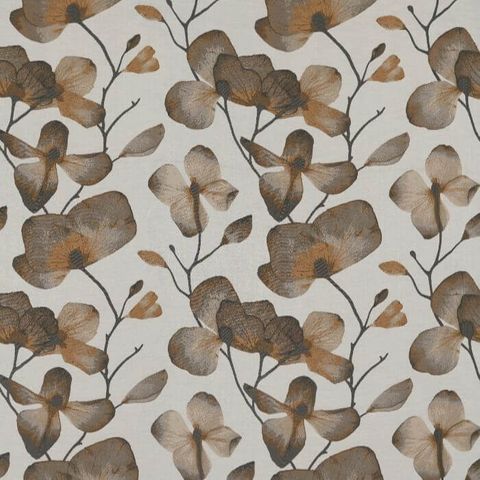 Kienze Bronze/Graphite