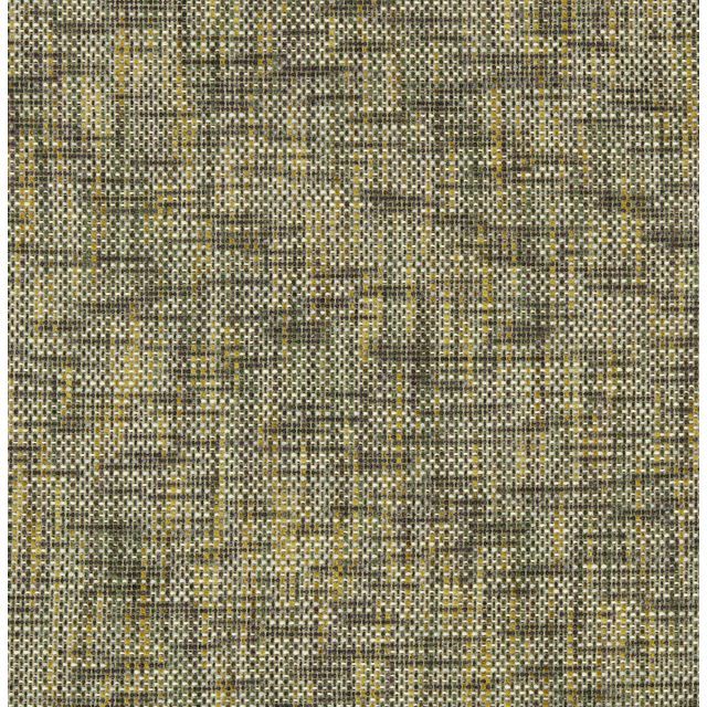 Harlequin Sgraffito II Cestino Moss