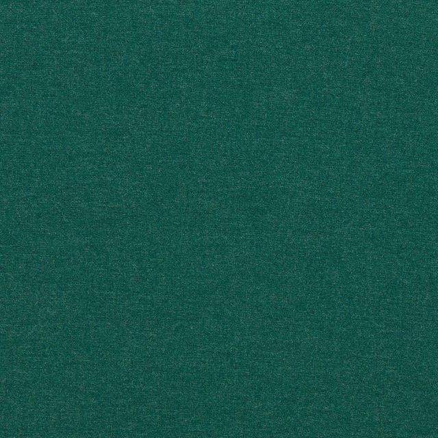 Clarke and Clarke Alfresco Indoor Outdoor Weaves Lugo Outdoor Forest