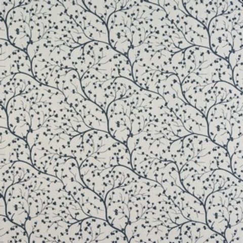 Appledore Cornflower