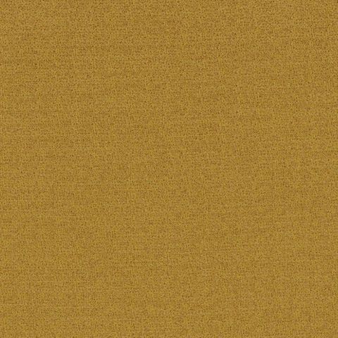 Dune Moutarde