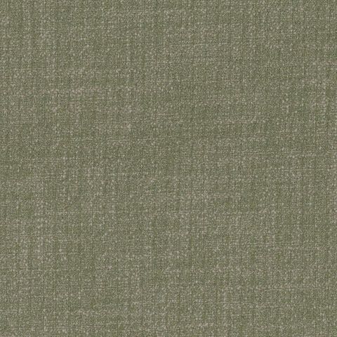 Dune Olive