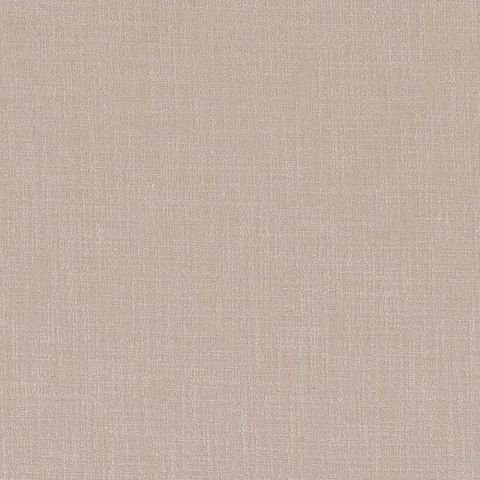 Dune Champagne