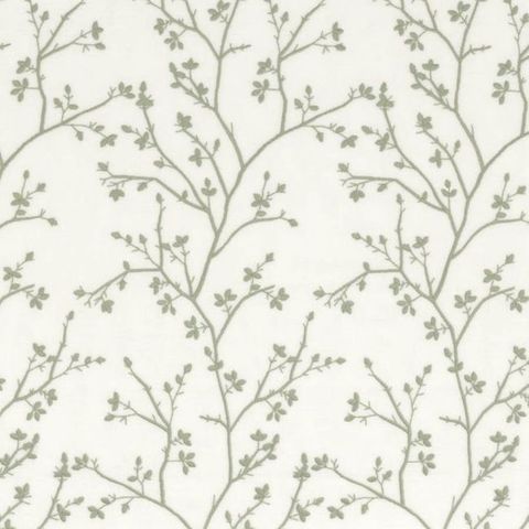 Mathurin Celadon