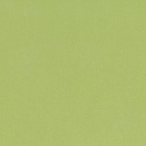 Barcelona Matcha