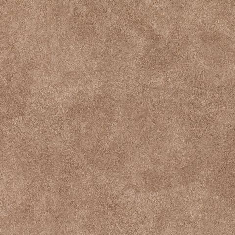 Estella Hazelnut