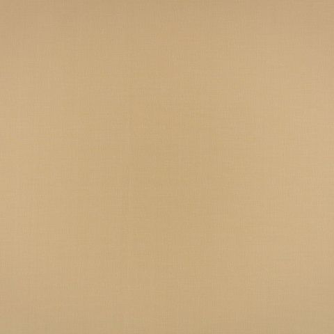 Florence Jute