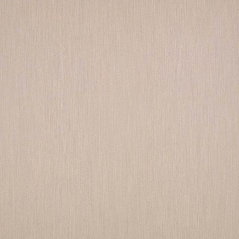 Torrin Birch