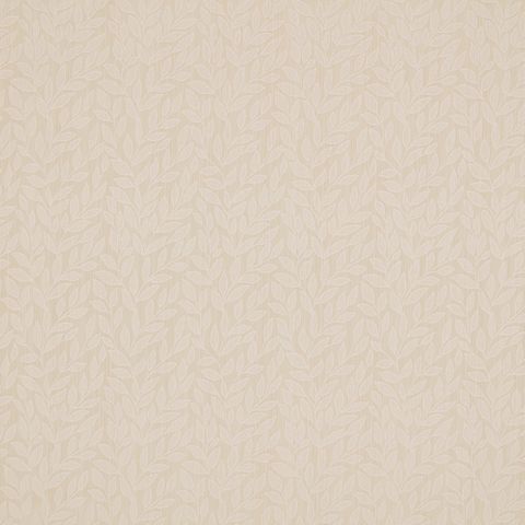 Cayan Ivory