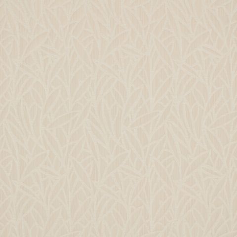 Citadel Ivory
