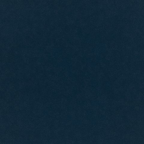 Plush Velvet Indigo