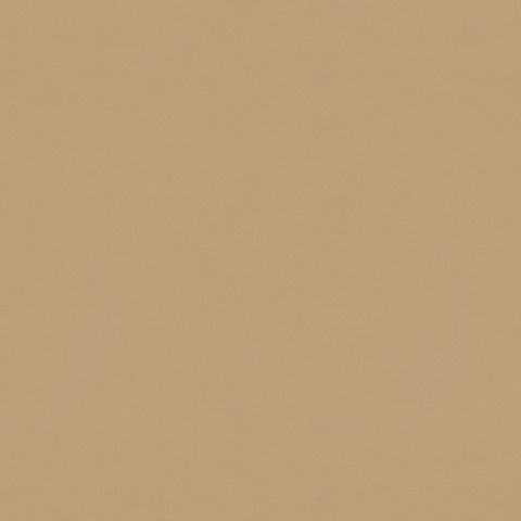 Solaire Camel