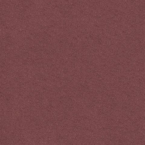 Brinzio Russet
