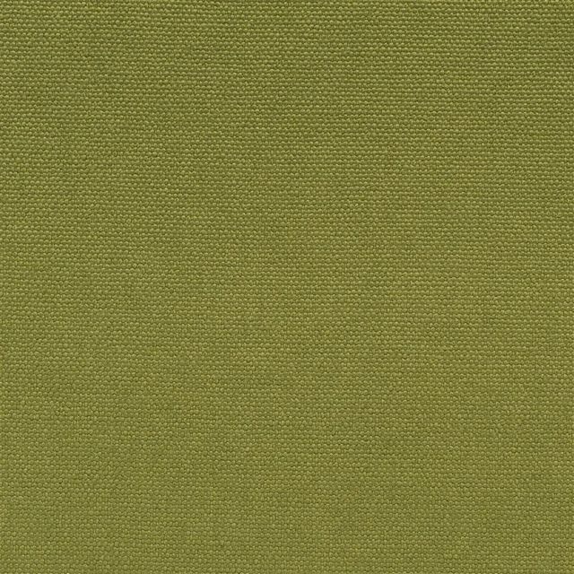 Designers Guild Moselle Lino Loiret Grass