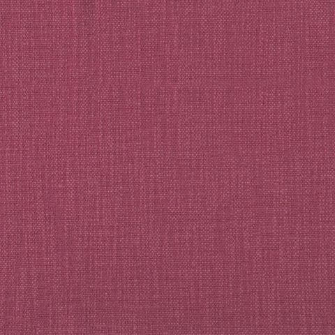 Tortona Raspberry