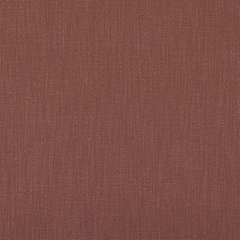 Tortona Russet