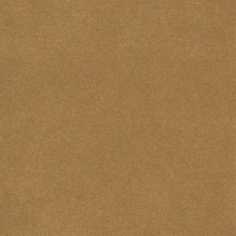 Brinzio Bronze
